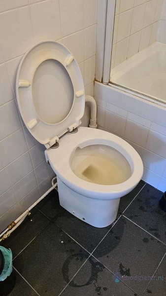  verstopping toilet Westzaan